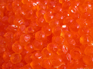 Картинка еда икра