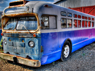 Картинка автомобили автобусы