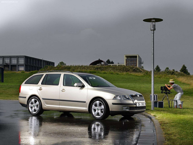 Обои картинки фото octavia, автомобили, skoda