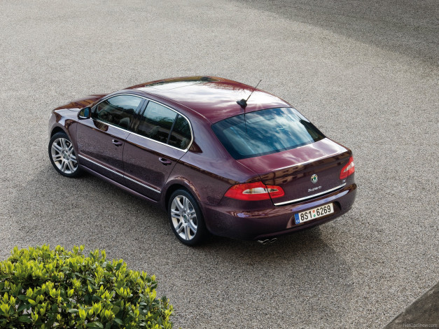 Обои картинки фото superb, автомобили, skoda