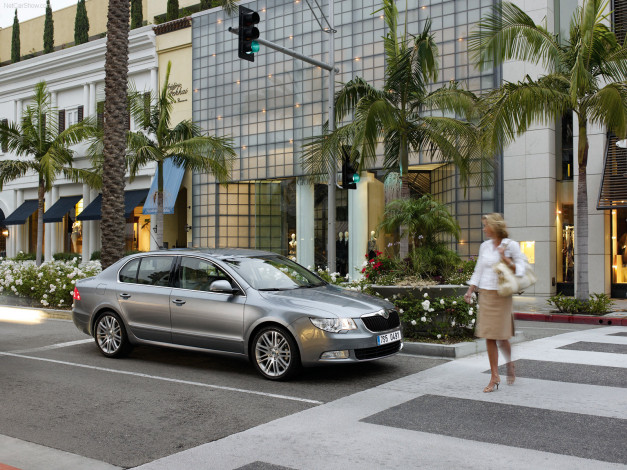 Обои картинки фото superb, автомобили, skoda