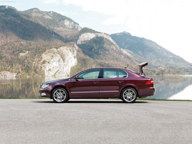 Обои картинки фото superb, автомобили, skoda