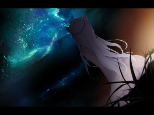 Картинка аниме bakemonogatari hanekawa+tsubasa девушка ночь ушки кошка трава