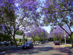 Картинка города улицы площади набережные