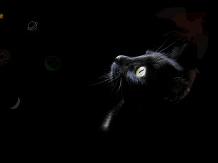 Картинка рисованные животные