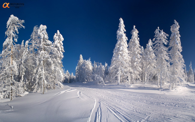 Обои картинки фото природа, зима