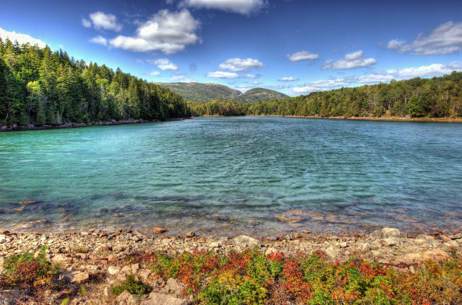 Обои картинки фото природа, реки, озера, лес, берег, вода