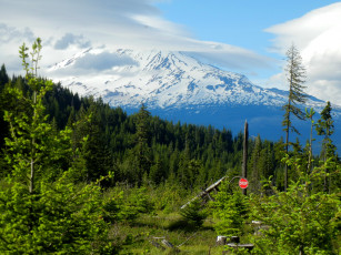 Картинка gifford pinchot national forest washington usa природа лес горы