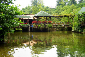 Картинка хорватия слунь природа парк цветы