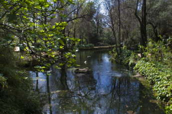 Картинка испания андалусия севилья природа парк река деревья