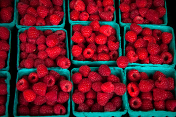 Картинка еда малина коробочки ягоды