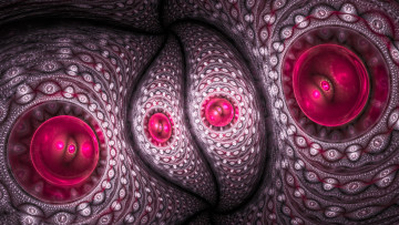 Картинка 3д графика fractal фракталы фон цвет узор линии изгибы