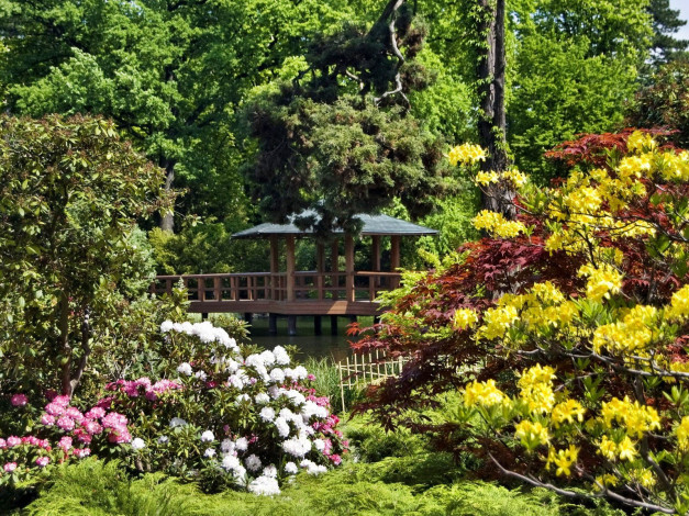 Обои картинки фото природа, парк, беседка, рододендроны