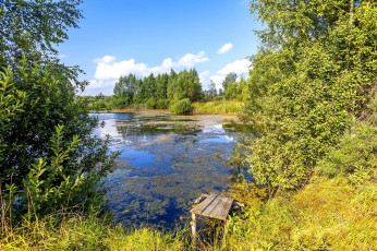 Картинка природа реки озера вода деревья