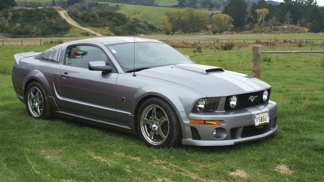 Обои картинки фото 2006 ford mustang, автомобили, выставки и уличные фото, сша, ford, motor, company, mustang, автомобиль, культовый