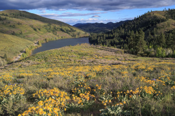 Картинка природа луга река луг лес холмы