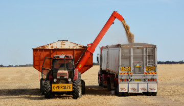 Картинка техника комбайны поле комбайн