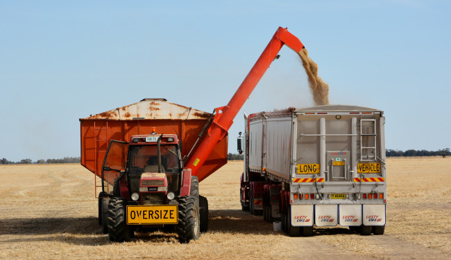 Обои картинки фото техника, комбайны, поле, комбайн