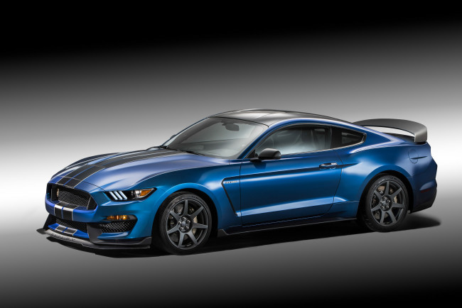 Обои картинки фото автомобили, mustang, 2016г, синий, gt350r, shelby