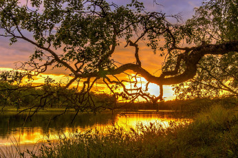 Картинка природа восходы закаты рассвет