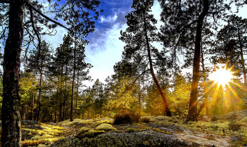 Картинка природа восходы закаты рассвет