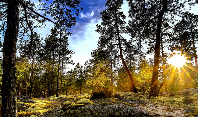 Обои картинки фото природа, восходы, закаты, рассвет