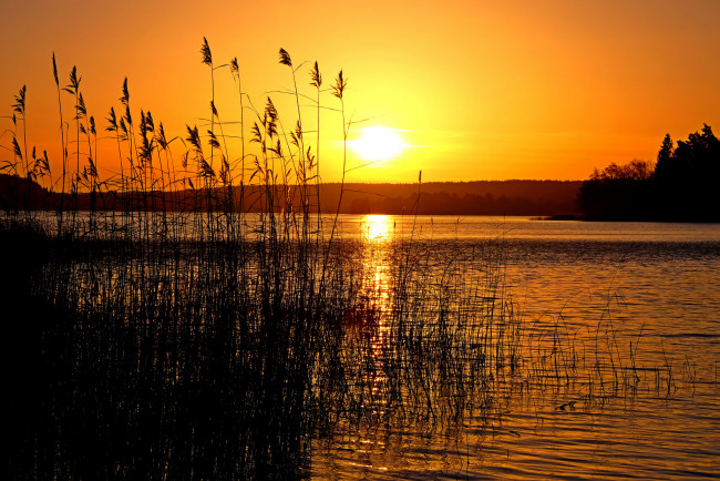 Обои картинки фото природа, восходы, закаты, рассвет