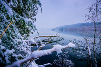 Картинка природа зима снег