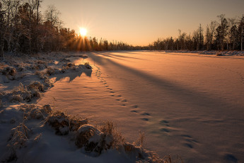 Картинка природа зима снег