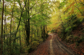 Картинка природа дороги тракт