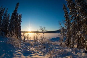 Картинка природа зима снег