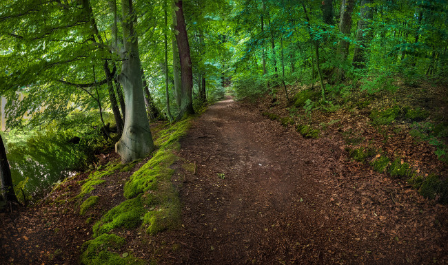 Обои картинки фото природа, дороги, тракт