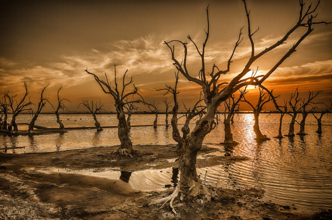 Обои картинки фото природа, восходы, закаты, рассвет