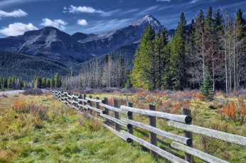 Картинка природа пейзажи простор