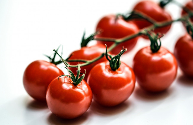 Обои картинки фото еда, помидоры, ветка, томаты