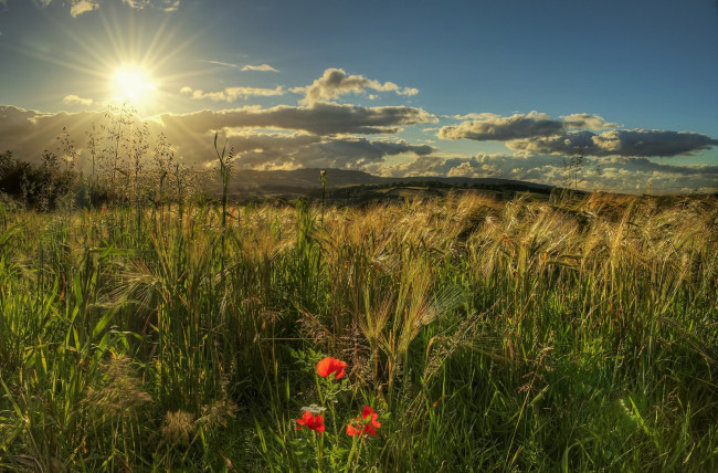 Обои картинки фото природа, восходы, закаты, простор