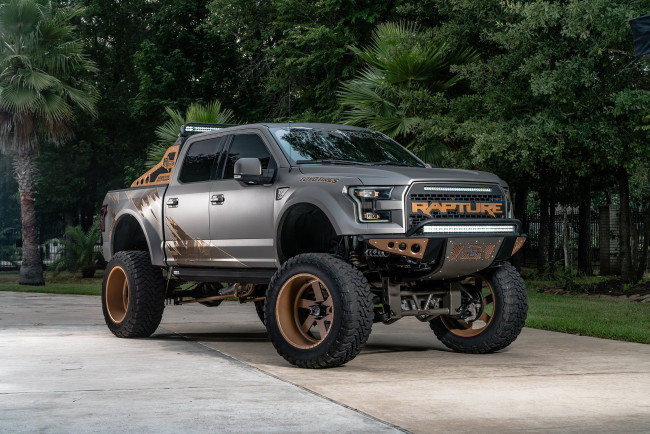 Обои картинки фото автомобили, custom pick-up, pickup