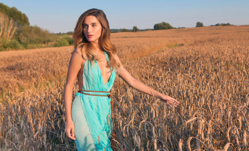 обоя cara mell, девушки, поза, красотка, блондинка, поле, пшеница, девушка, cara, mell, взгляд, модель