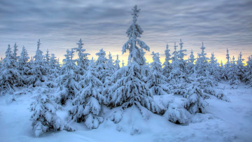 Картинка природа зима снег сугробы