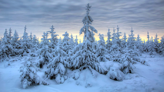 Обои картинки фото природа, зима, снег, сугробы