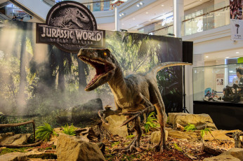 Картинка разное -+другое динозавр реклама стенд