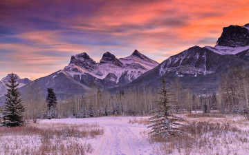 Картинка природа горы лес снег деревья