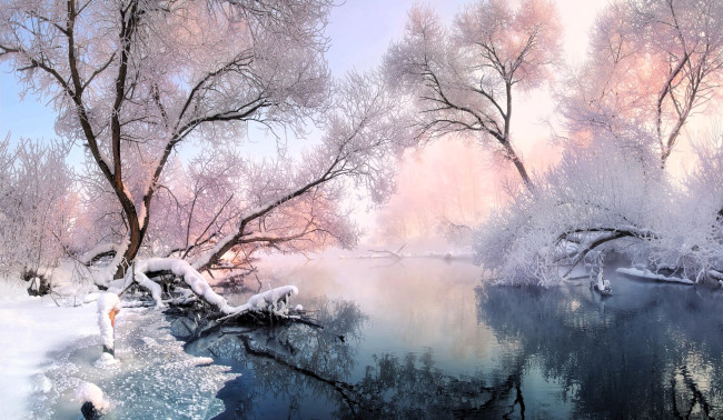 Обои картинки фото природа, реки, озера, деревья, иней, снег, лед, река