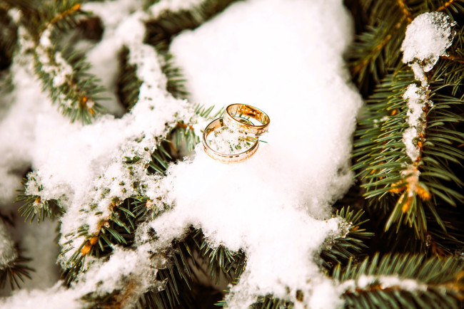 Обои картинки фото разное, украшения,  аксессуары,  веера, ёлка, снег, кольца