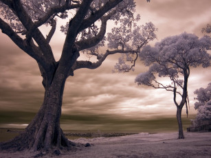 Картинка фэнтези пейзажи