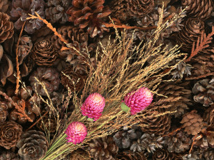 Картинка цветы букеты композиции