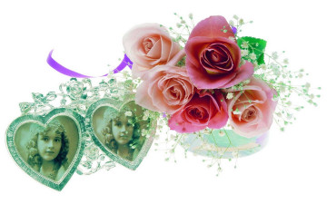 Картинка цветы розы