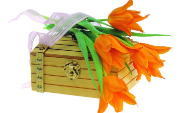 Картинка цветы тюльпаны