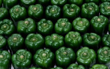 Картинка еда перец