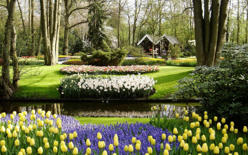 Картинка природа парк